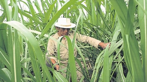 Impacto del fenÃ³meno de El NiÃ±o serÃ­a de US$3.700 mlls